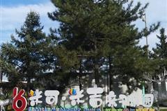 米可·米吉亲子乐园（雁栖湖店）（名胜文化臻选.畅游卡）