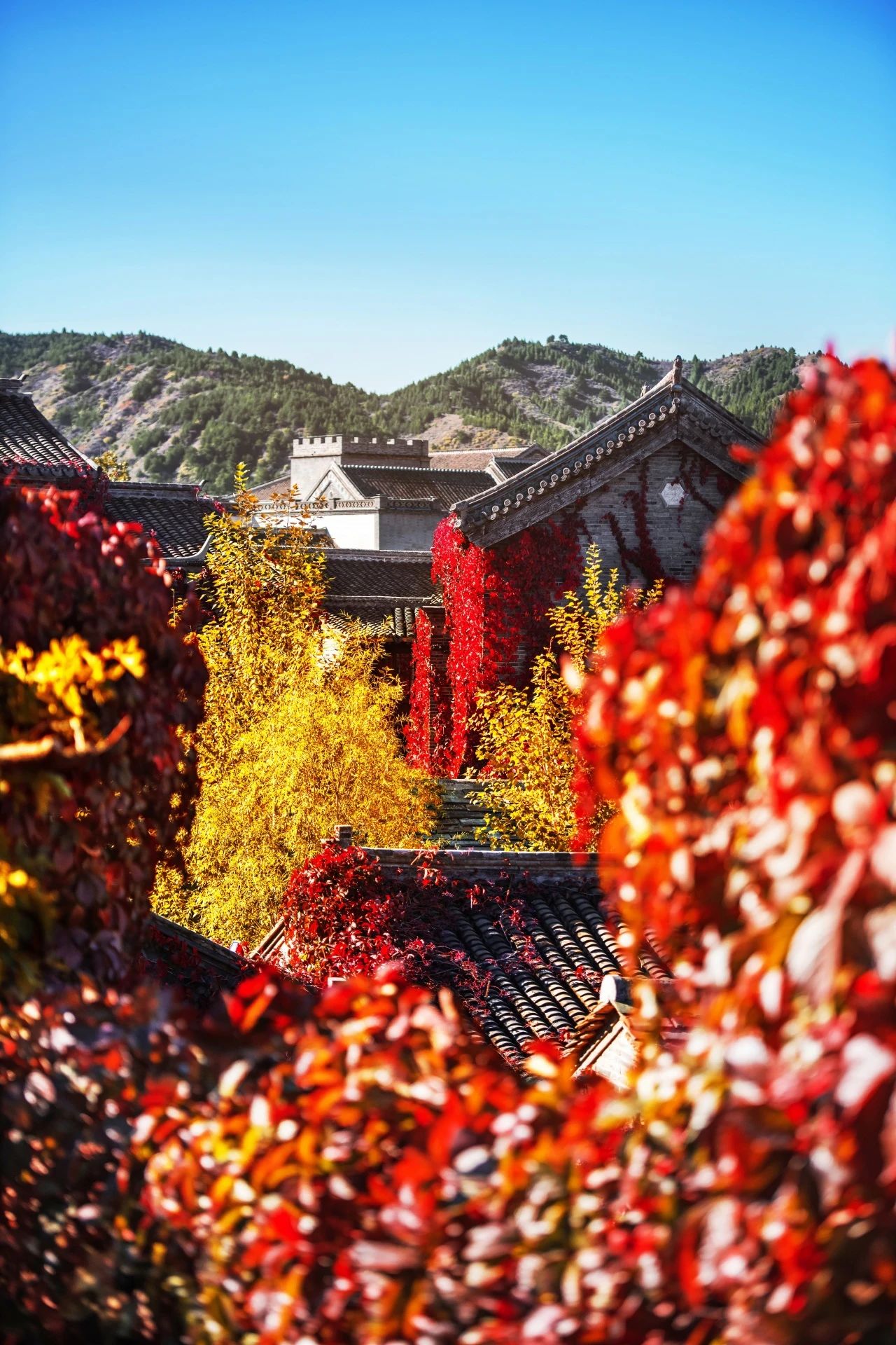 秋日旅游最佳时期，10月中下旬，古北水镇的秋天已经斑斓如画，持卡免费游！——爱票网