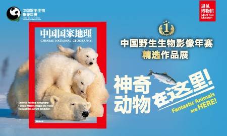 神奇动物在这里——中国野生生物影像年赛精选作品展（展期+地址+营业时间+购票方式+展会介绍）