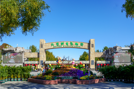 北京野生动物园.png