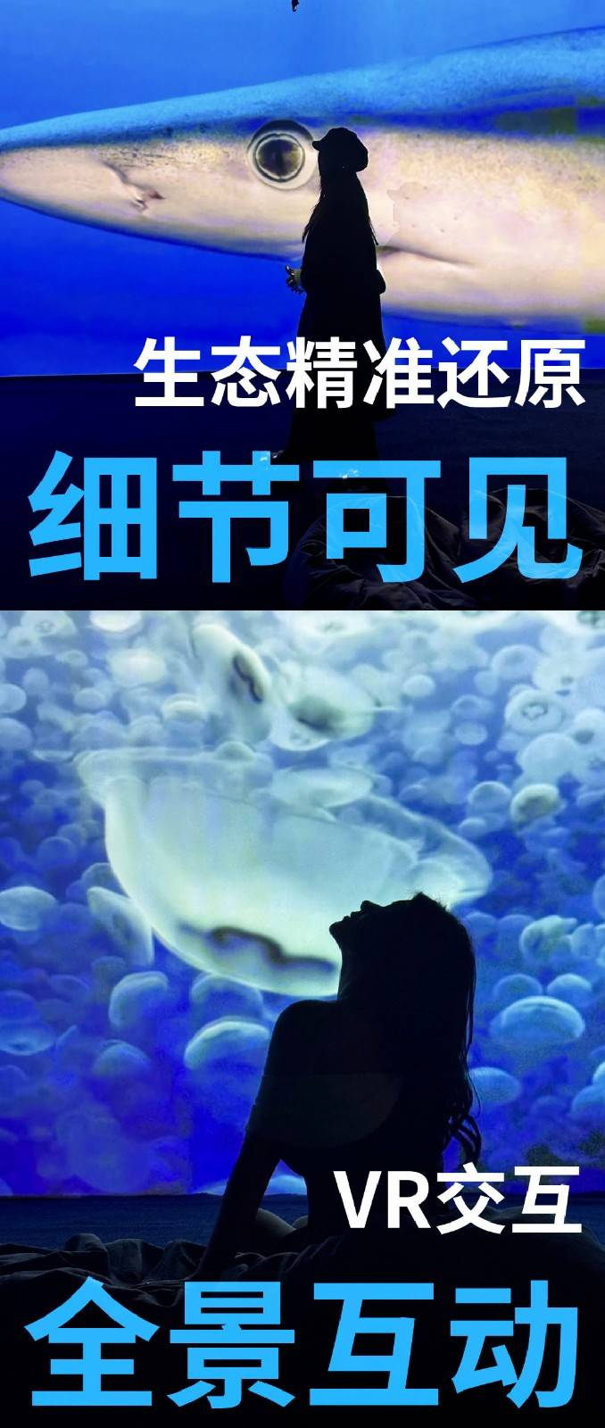 英国BBC Earth极地生灵数字影像大展6.png