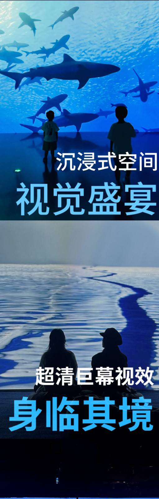 英国BBC Earth极地生灵数字影像大展4.png
