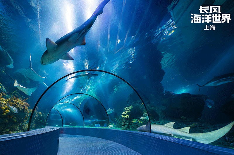 上海长风海洋世界.jpg