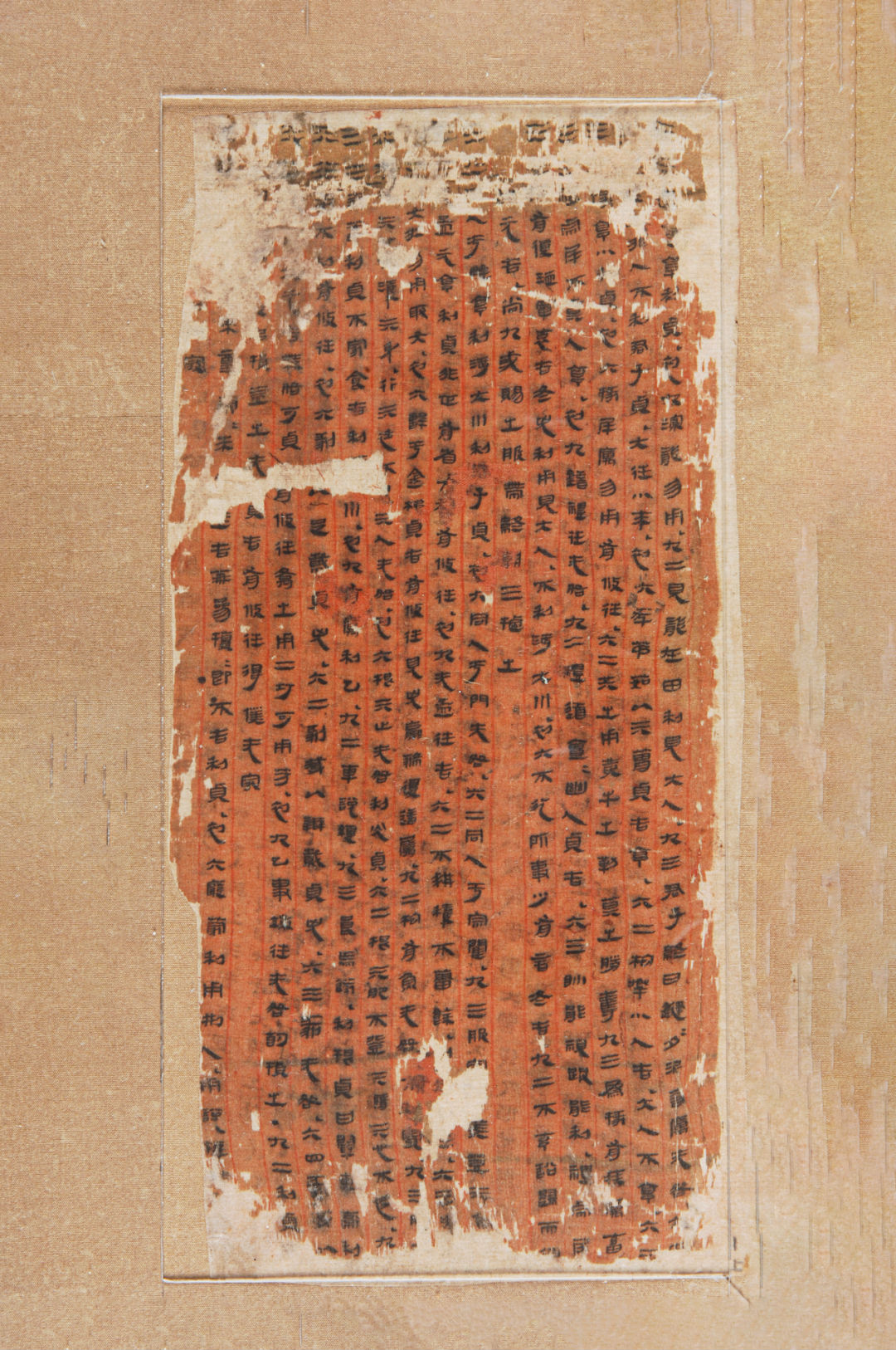 千金之家8.png