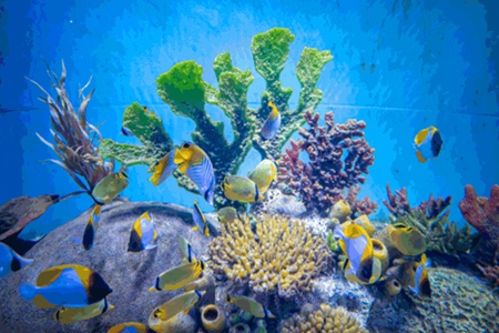 昆山海昌海洋探索馆.jpg