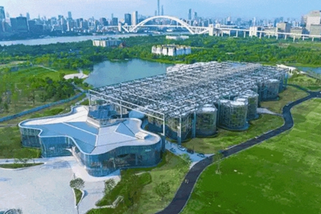 上海温室花园.jpg
