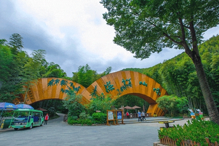 天目湖南山竹海(5A).jpg