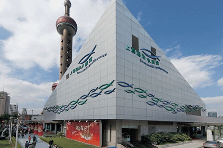 上海海洋水族馆.jpg