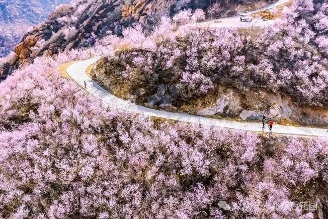 后花园(白虎涧)持2026京津冀名胜文化休闲旅游年卡免费