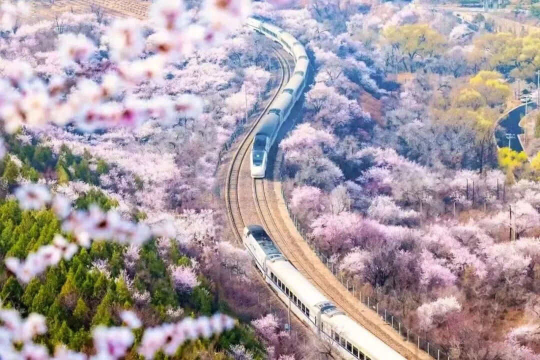 居庸关长城持2026京津冀名胜文化休闲旅游年卡免费