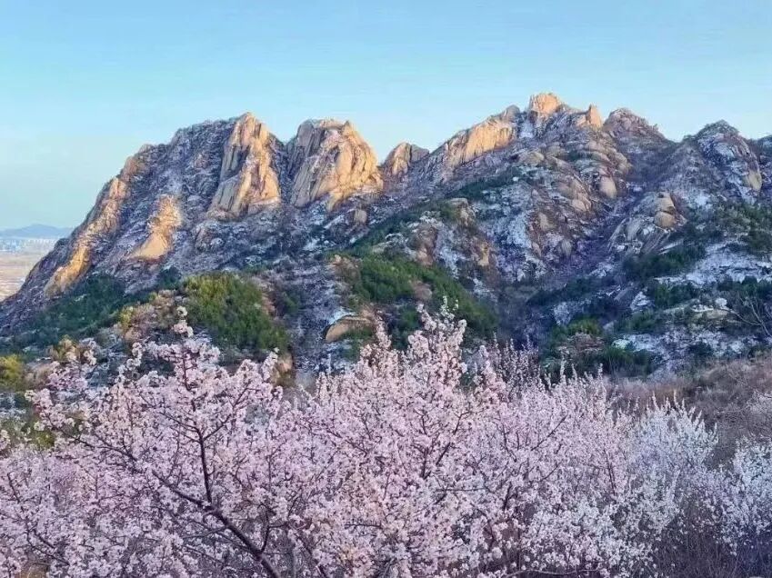 手握京津冀名胜年卡必打卡宝藏点位！每一处都是春天的模样