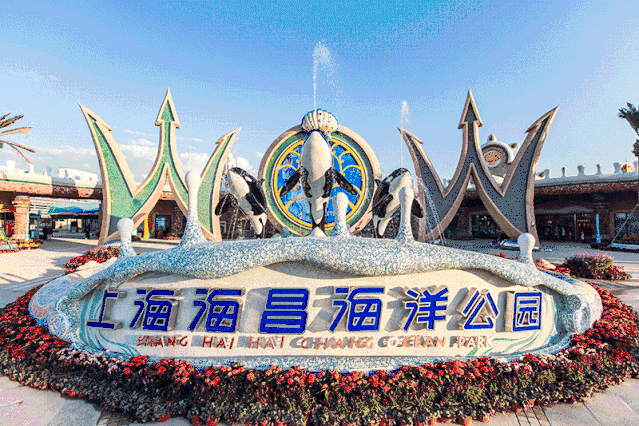 上海海昌海洋公园门票怎么买划算？哪款年票包含？